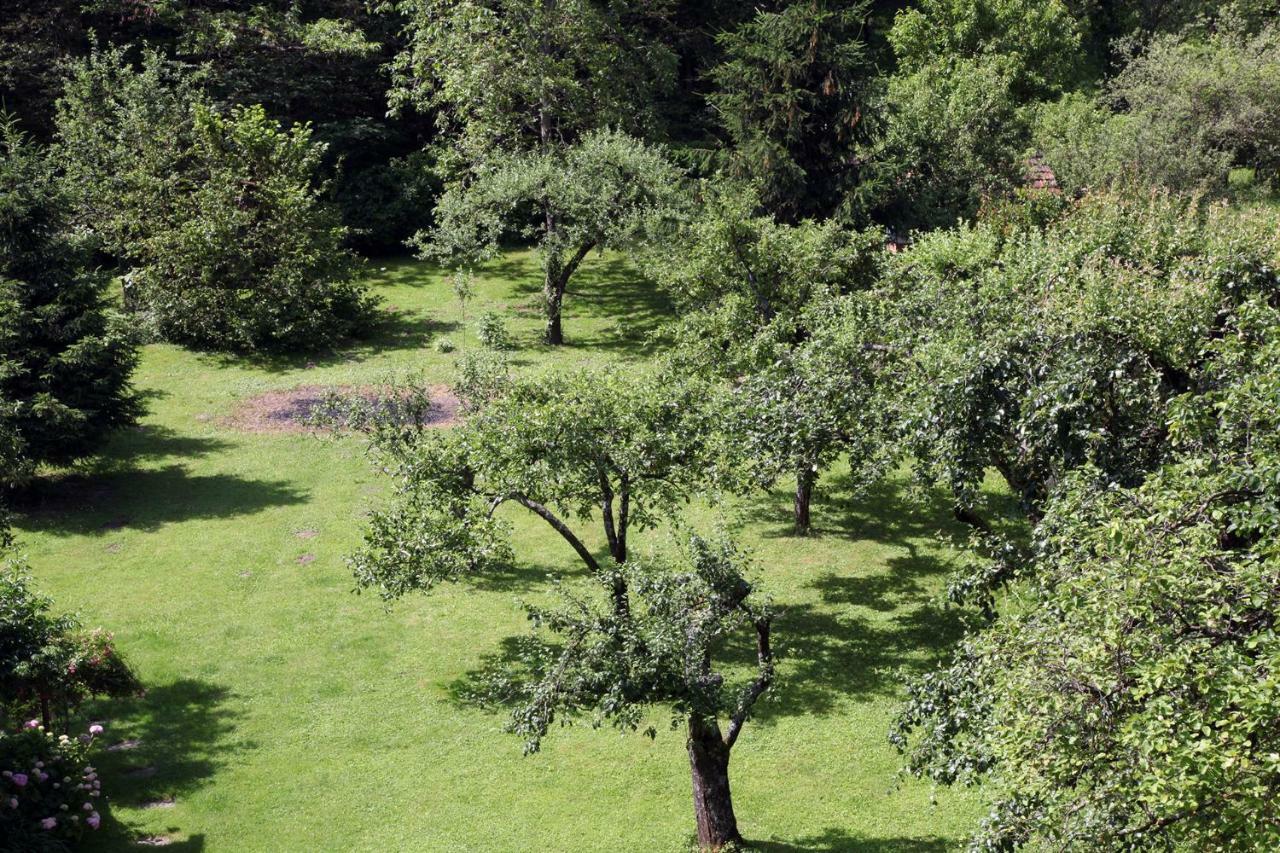Апартаменты Apple Tree Загреб Экстерьер фото